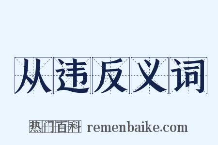 从违反义词是什么意思的图片